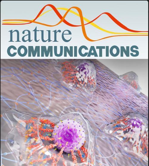 土壤固氮酶（NITS）ELISA試劑盒