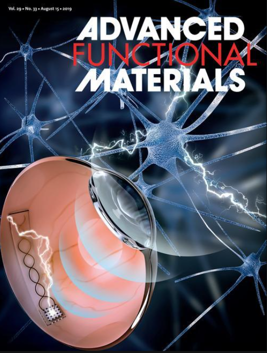 小鼠高遷移率族蛋白B1（HMGB-1）ELISA試劑盒